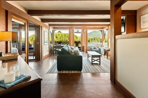 Smart TV, fireplace, books