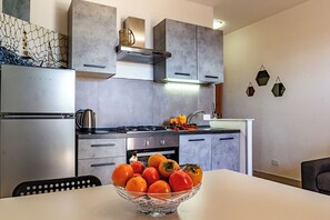 Fridge, oven, stovetop, electric kettle