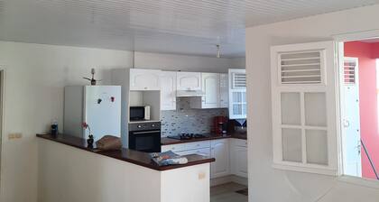 Large air-conditioned Le Balisier villa with garden near north and south beaches