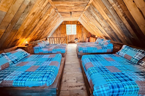 Image picker 1D19BF3E C55D 491D 9AFA B27FFA43376C 20009 000003563F1ED4A3