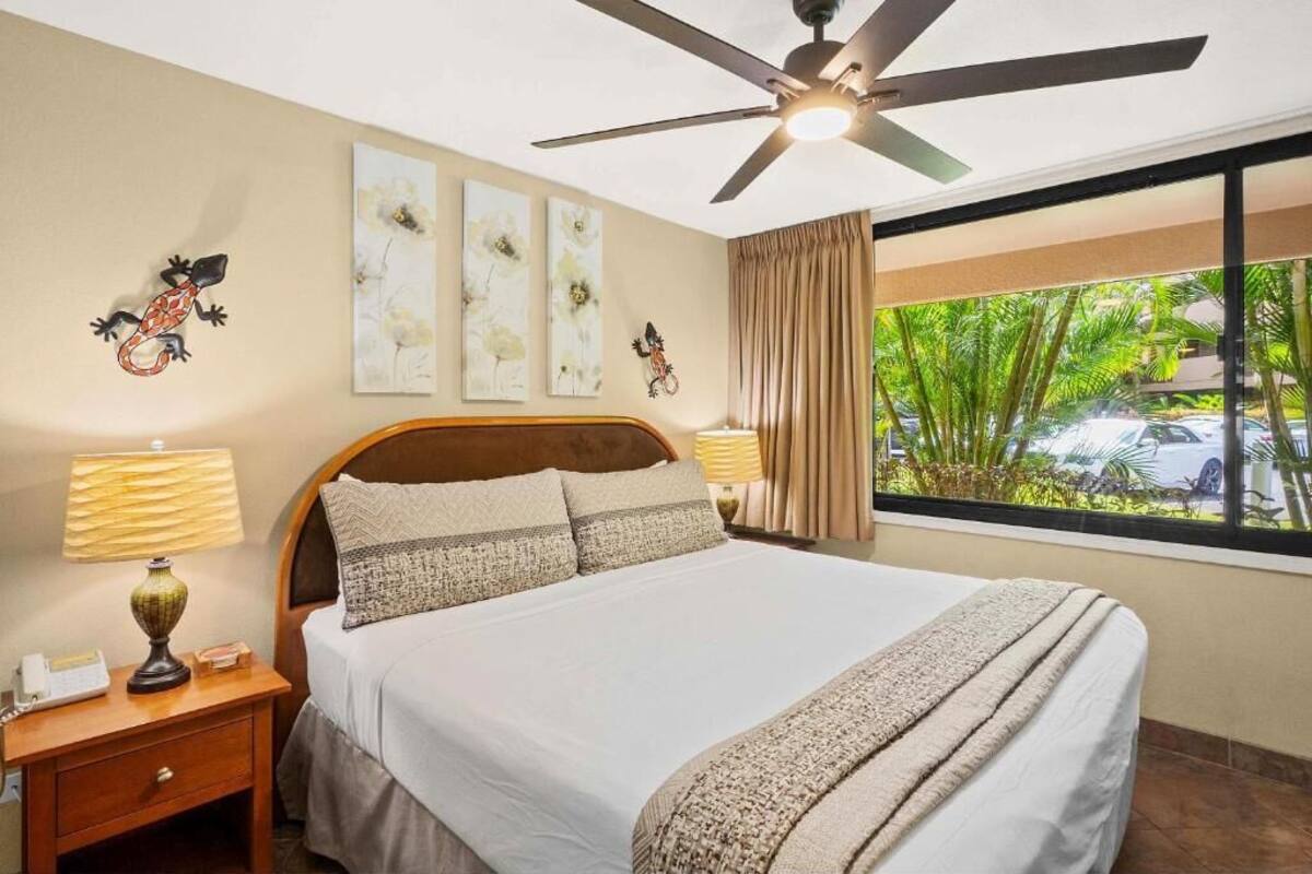 A hotel room with a bed, a nightstand, a lamp, a ceiling fan, and a window with a view of palm trees and a parking lot.