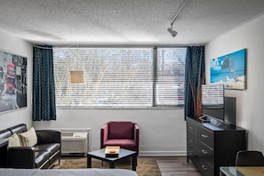 Estudio estándar, 1 cama de matrimonio, cocina, vistas al patio | Zona de estar