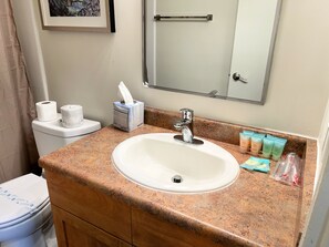 Hair dryer, towels, soap, shampoo