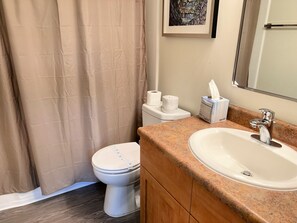 Hair dryer, towels, soap, shampoo
