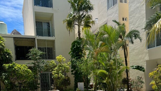Una piscina rectangular con dos tumbonas, rodeada de exuberante vegetación y un edificio de varios pisos con balcones.