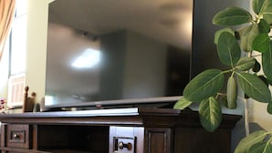 A dark wooden entertainment center with a flat-screen TV, a glass-fronted cabinet with a fireplace, and a potted plant. - Hickory House - South Park near UD Campus, Miami Valley Hospital, & Downtown (Dayton)