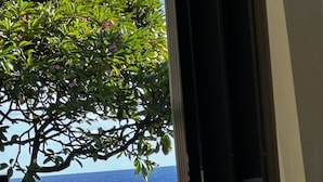 A view from inside a room to a grassy area with a tree and a chair.