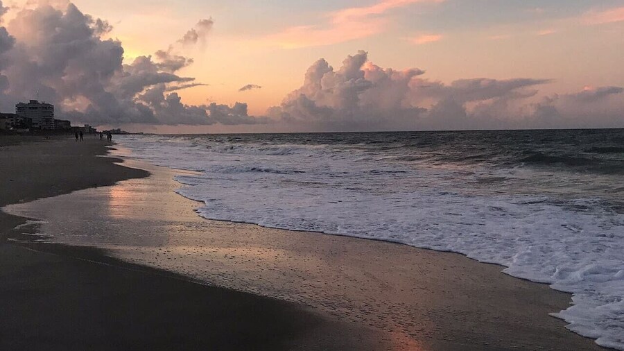 Coastal Cove