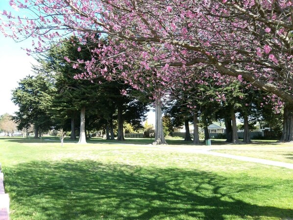 Property grounds