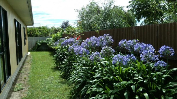 Un jardin où l’on trouve une variété de plantes et de fleurs, une clôture en bois et un bâtiment doté de fenêtres.