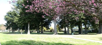 Napier Nest Motel: Family Suite with Parking