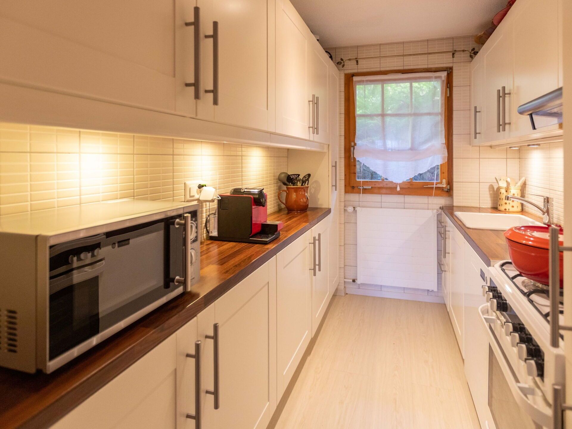 Microondas, horno, lavavajillas y periquera 