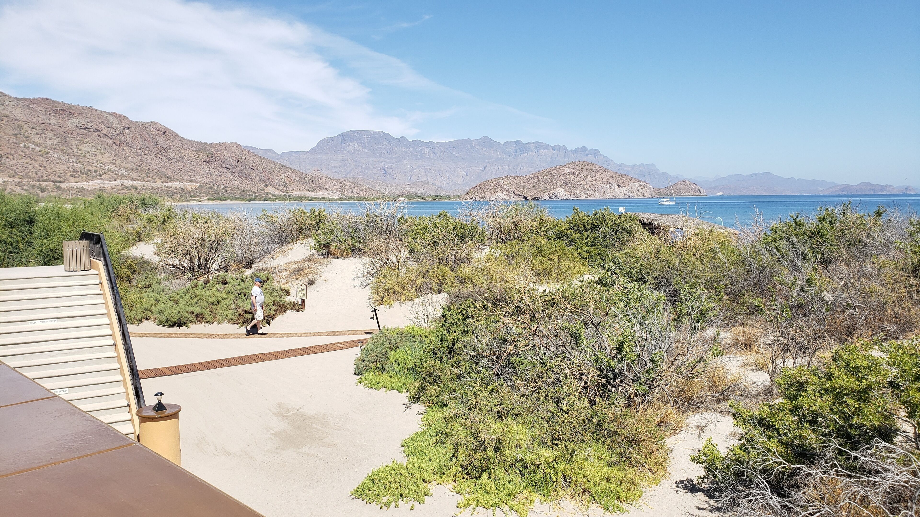 Un paysage côtier offrant une vue dégagée sur la mer, avec une terrasse en bois et une végétation luxuriante tout autour.