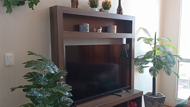 Una sala de estar con un televisor de pantalla plana grande, un mueble de madera para equipos electrónicos, plantas en macetas y un cuadro en la pared.
