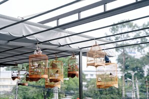 Varias jaulas de pájaros colgadas de una estructura metálica bajo un toldo blanco.