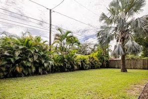 A grassy yard with a variety of tropical plants and a palm tree.