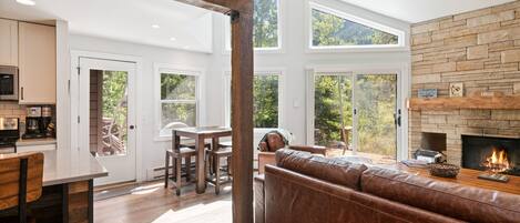 Televisión, chimenea, libros