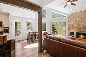 TV, fireplace, books