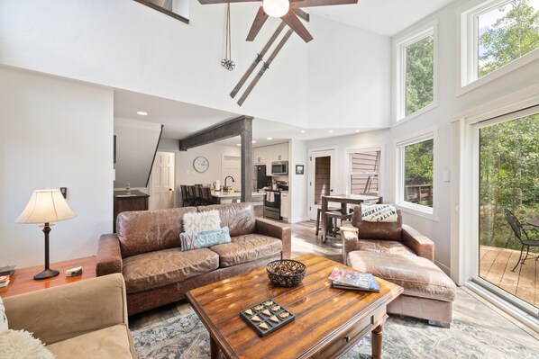 TV, fireplace, books