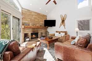 Télévision, cheminée, livres