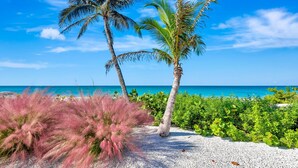 Une plage bordée de palmiers et d’arbustes aux couleurs roses.