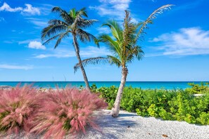 Am Strand