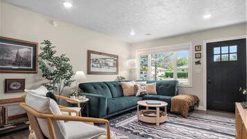 Smart TV, fireplace, books