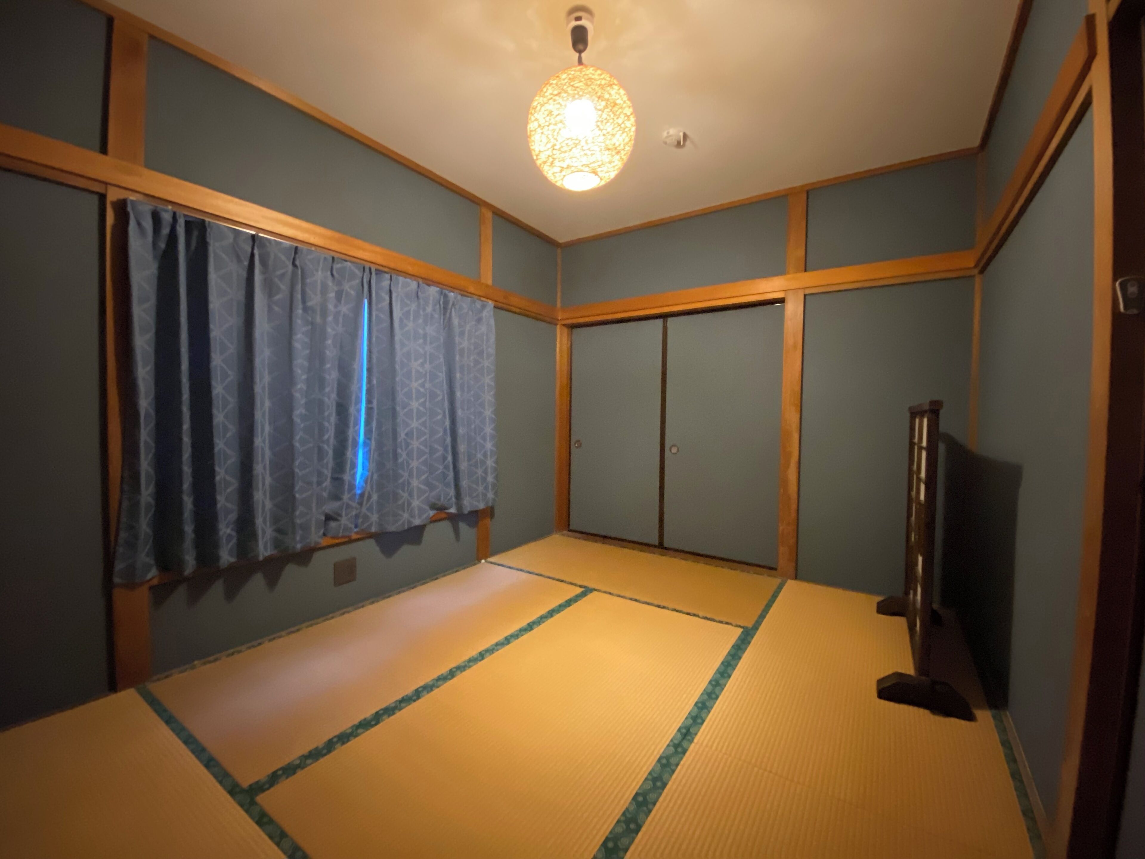 A room with tatami flooring, a ceiling light fixture, a television, and a sliding door.