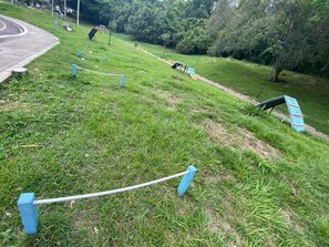 Àrea exterior de l'allotjament