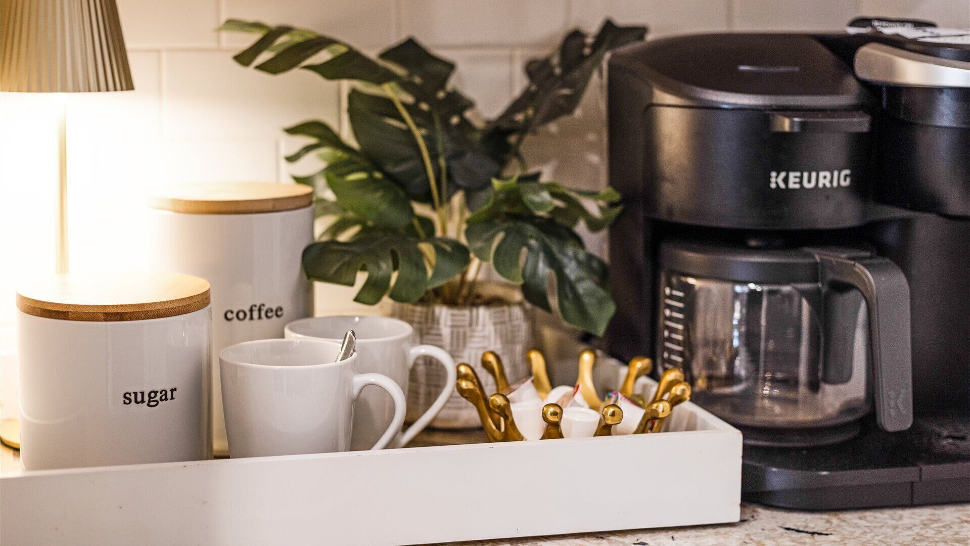 En köksbänk med en kaffebryggare, behållare för socker och kaffe samt en växt.