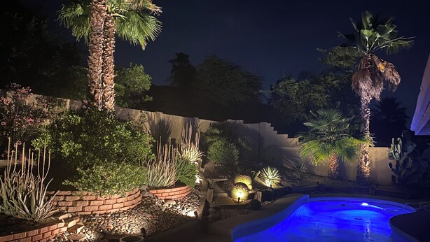 A nighttime outdoor pool area with a brick border, palm trees, and various plants. - Sun House - your own private getaway (Phoenix)