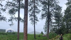 Una persona caminando por un campo cubierto de hierba, con árboles altos y una estructura abovedada al fondo.