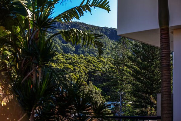 Vista de una montaña boscosa y exuberante desde un balcón, con un edificio moderno en primer plano.