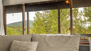 A sofa with a cushion in a room with large windows overlooking a forested area.