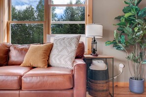 TV connectée, cheminée, livres