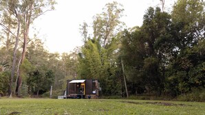 Una cabaña de un piso con techo plano, rodeada de un bosque denso.
