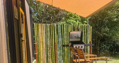 Cedar Creek Falls by Tiny Away