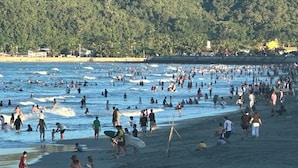 Une plage bondée, où se côtoient des gens et des planches de surf, entourée d’une végétation luxuriante.