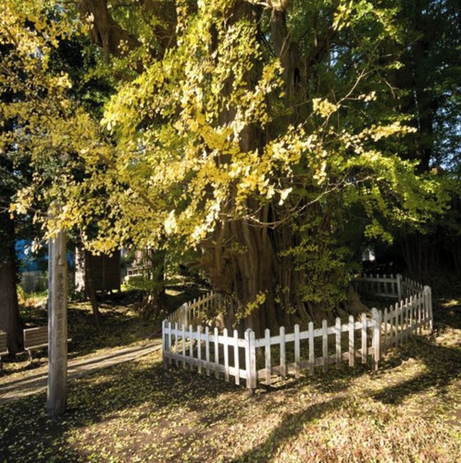 Parco della struttura