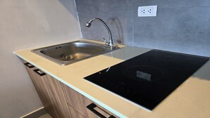 Una cocina con un lavamanos de acero inoxidable, una placa de inducción negra y armarios de madera.