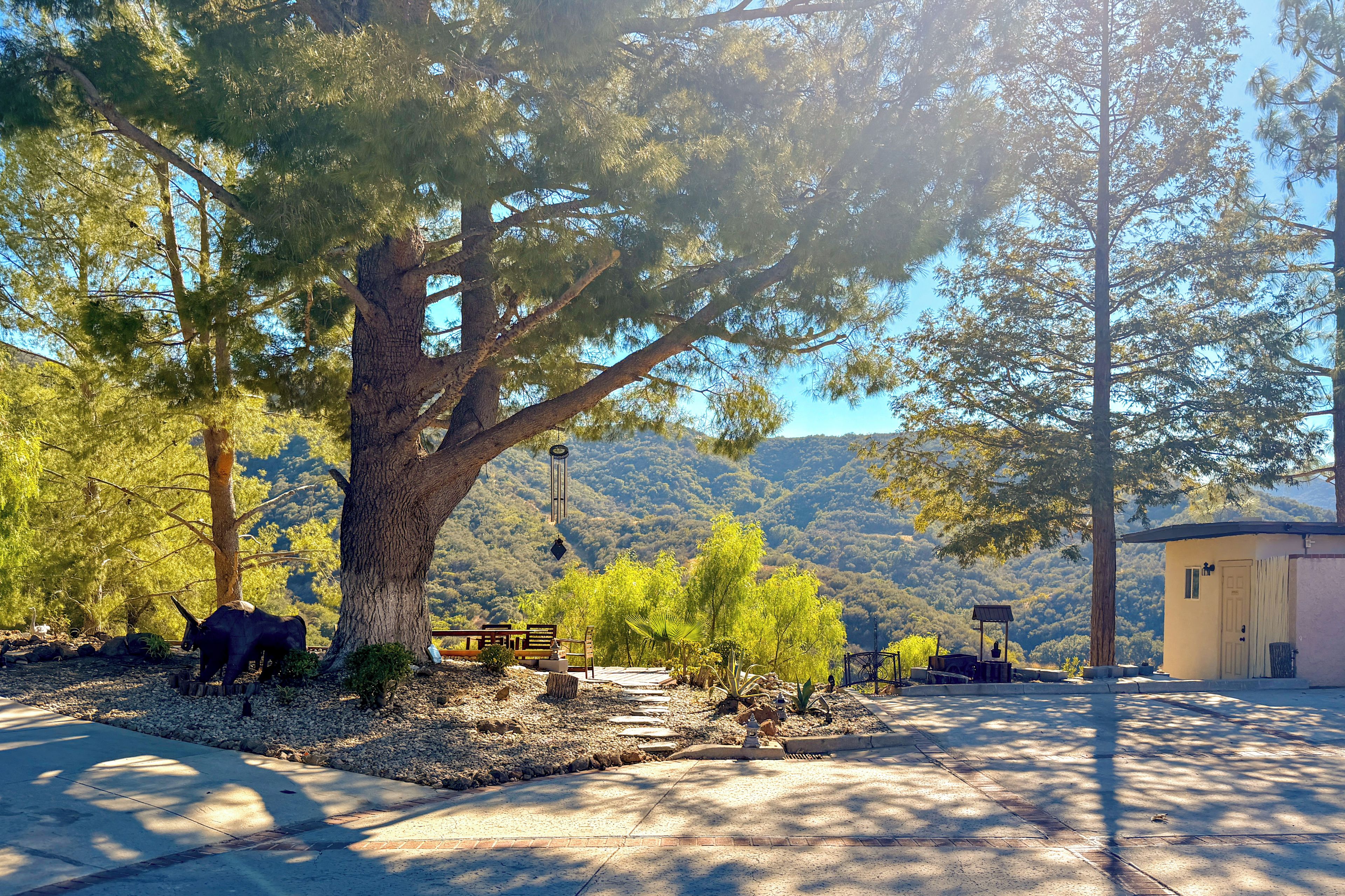 A tree-lined pathway leading to a building with a door and windows.