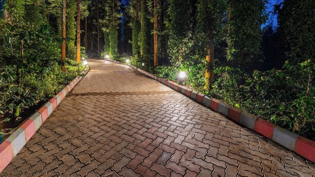 A paved pathway flanked by trees and illuminated by street lamps, leading into a forested area. - Treebo Arabica Valley-Coffee Plantation Retreat (Chikkamagaluru)