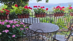 Apartment, 1 Schlafzimmer, Raucher, Terrasse | Garten