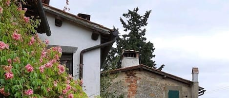 Apartment, 1 Bedroom, Smoking, Patio | Garden