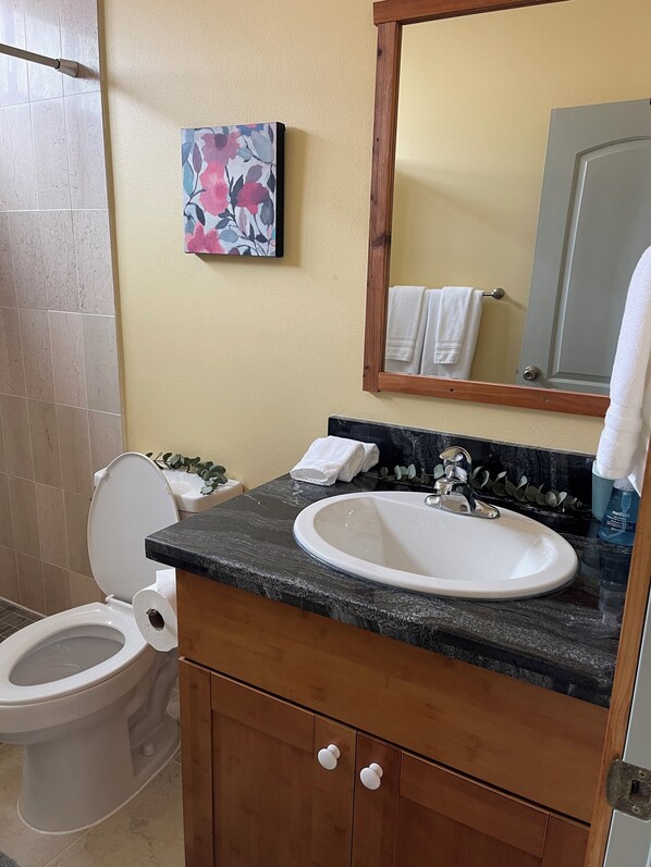 A bathroom with a white toilet, a sink with a marble countertop, a wooden cabinet, a mirror, and a painting on the wall.