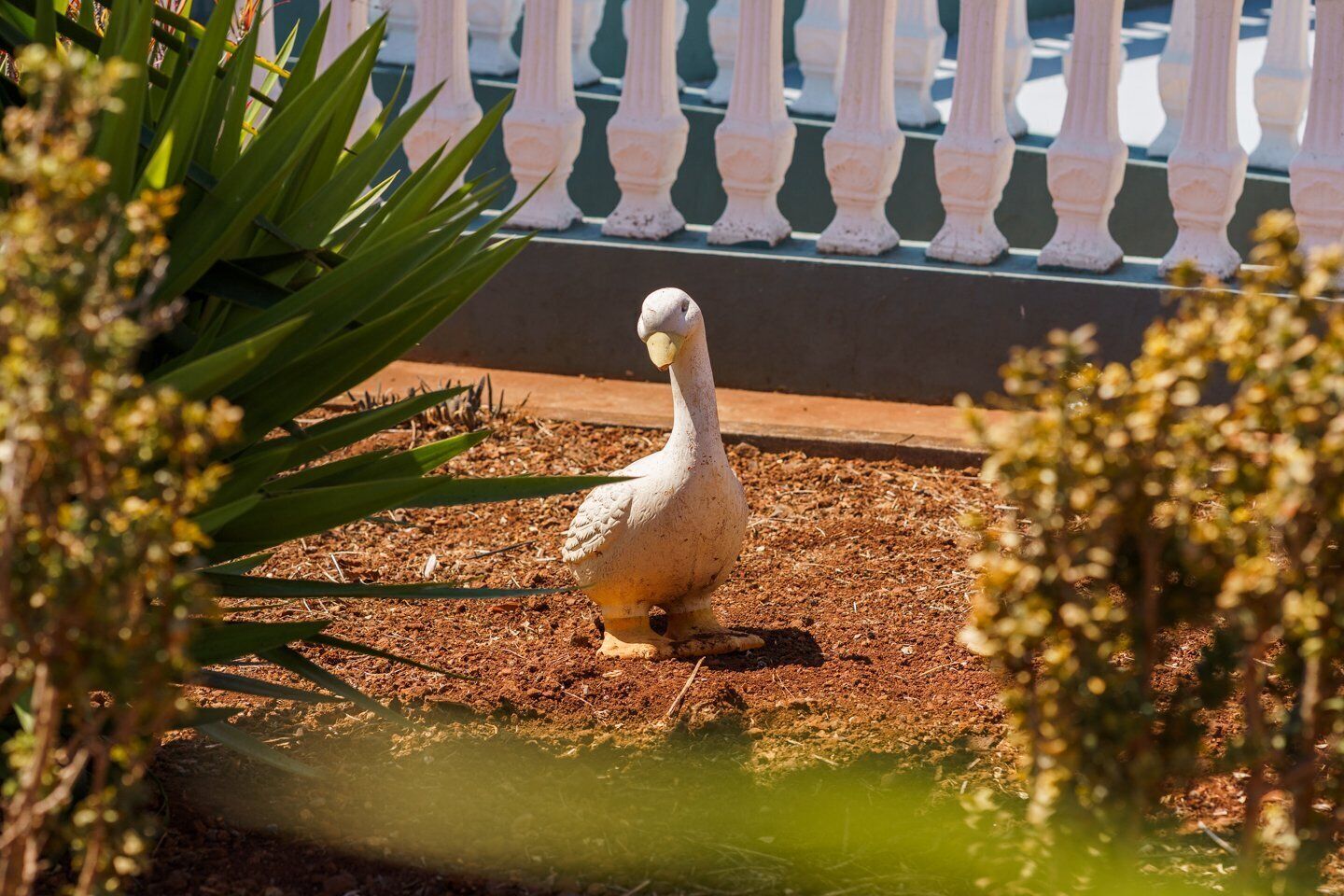 Une sculpture d’oiseau dans un jardin, avec une clôture blanche en arrière-plan.