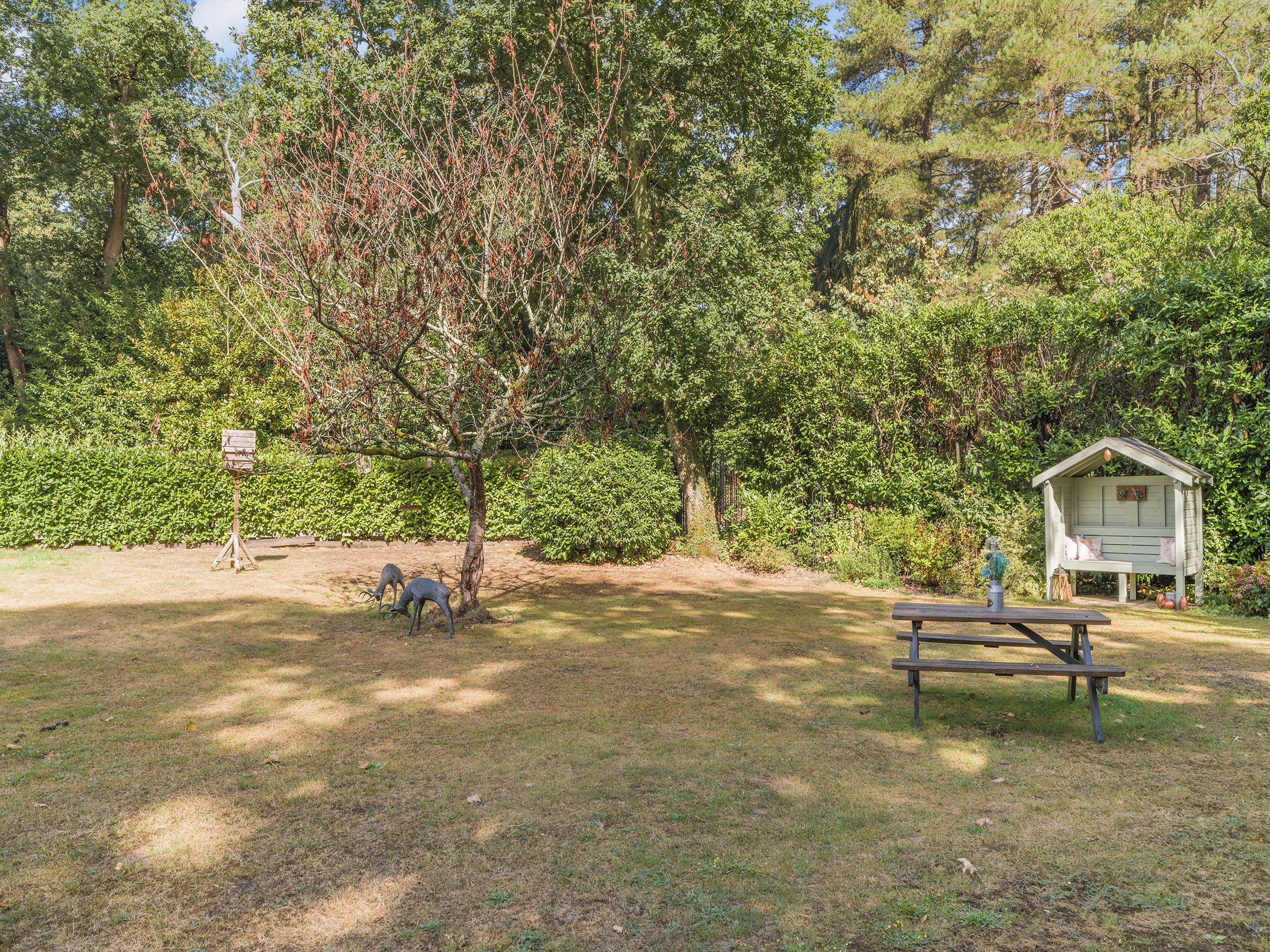 A park with a wooden bench, a birdhouse, and a tree.