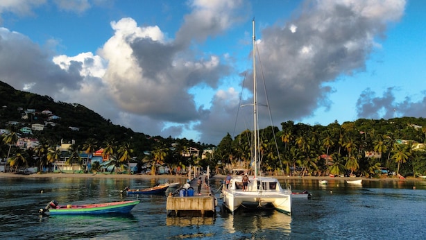 Una marina con varias embarcaciones amarradas, un velero blanco en primer plano y un paisaje ondulado con casas y palmeras de fondo.