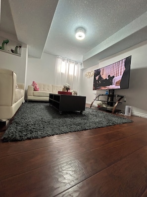 Fernseher, Kamin