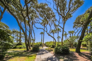 A pathway flanked by tall trees and lush greenery, leading to a building entrance.